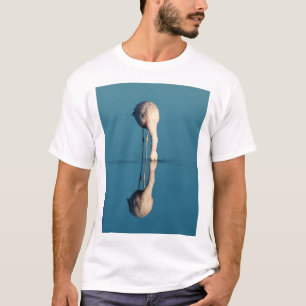 Flamingo-Reflexion, Laguna Chaxa, Atacama T-Shirt