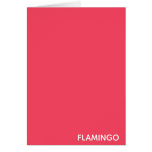 Flamingo rosa Farbname
