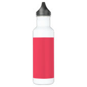 Flamingo rosa Farbname Edelstahlflasche (Links)