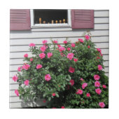 Flamingo-Rose mit Schraubenziehern Fliese (Vorderseite)