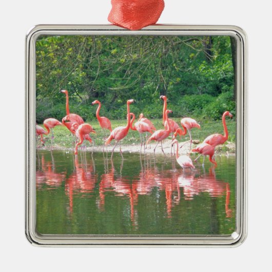 Flamingo Row am See im Frühjahr, Vögel Pink Wildli Silbernes Ornament (Vorne)