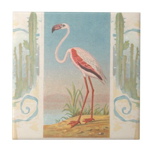 Flamingo Rug Vintag Tropical Bird Fliese (Vorderseite)
