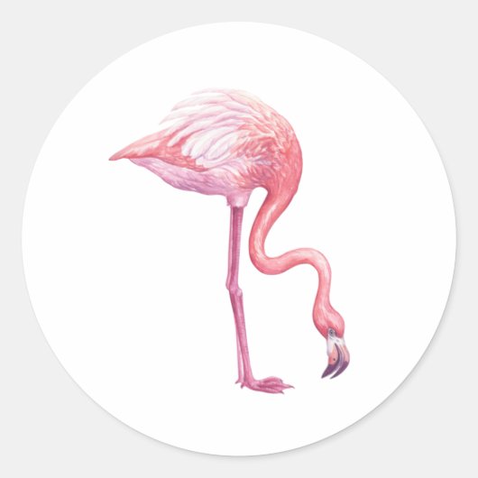 Flamingo Runder Aufkleber (Vorderseite)
