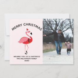 Flamingo Santa Foto Weihnachten