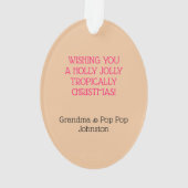 Flamingo Santa Turquoise Tropical Weihnachten Ornament (Rückseite)