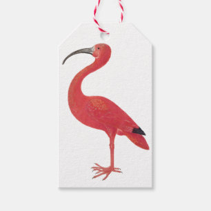 Flamingo - Schöne Kunst - Tag Geschenkanhänger