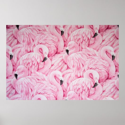 FLAMINGO SIND ÜBERALL POSTER (Vorne)