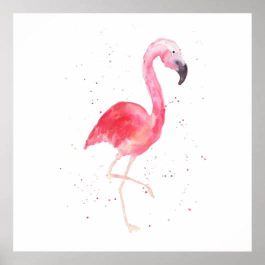 Flamingo Solo Print Poster (Vorne)