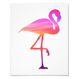 Flamingo-Sonnenuntergang-Druck Fotodruck