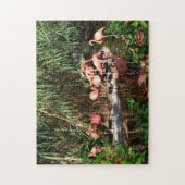 Flamingo-Spannvorrichtung sah Puzzlespiel Puzzle (Vertikal)