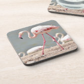 Flamingo-Spaziergang auf dem Boden Untersetzer (Linke Seite)