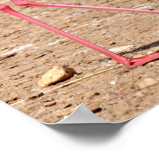 Flamingo-Spaziergang nahe dem Teich Poster (Ecke)