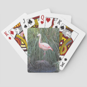Flamingo Spielkarten