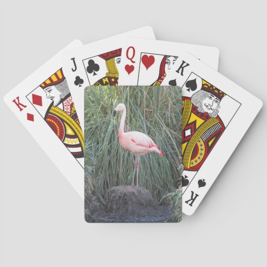 Flamingo Spielkarten (Rückseite)