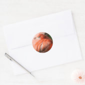 Flamingo Sticker (Umschlag)