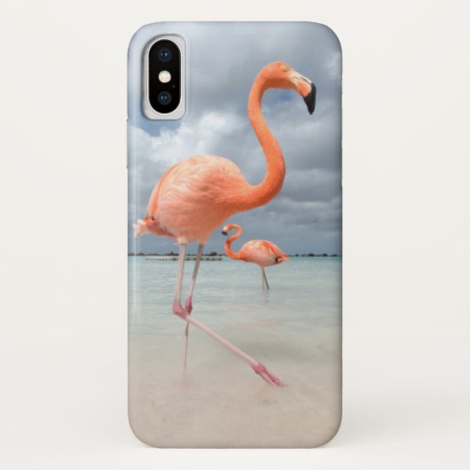 Flamingo-Strand Aruba Case-Mate iPhone Hülle (Rückseite)