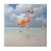 Flamingo-Strand Aruba Fliese (Vorderseite)