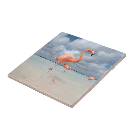 Flamingo-Strand Aruba Fliese (Seite)