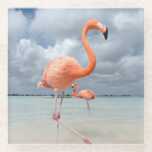 Flamingo-Strand Aruba Glasuntersetzer (Vorderseite)