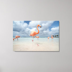Flamingo-Strand Aruba Leinwanddruck