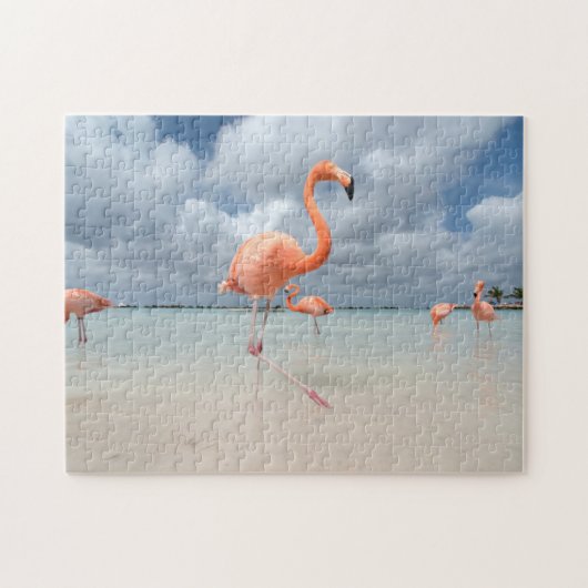 Flamingo-Strand Aruba Puzzle (Horizontal)
