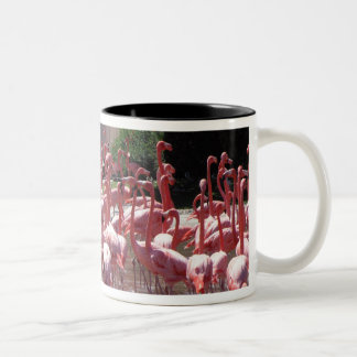 Flamingo-Straße Zweifarbige Tasse
