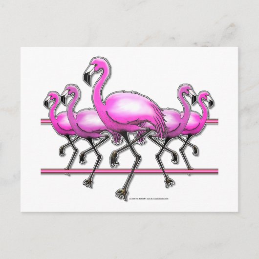 Flamingo Strip Postkarte (Vorderseite)