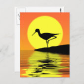 Flamingo Sunset Postcard Postkarte (Vorne/Hinten)