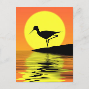 Flamingo Sunset Postcard Postkarte