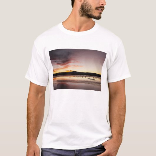 Flamingo T-Shirt (Vorderseite)