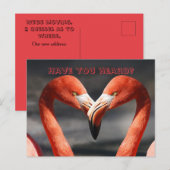 FLAMINGO TALKVERÄNDERUNG DER ADRESSKARTE POSTKARTE (Vorne/Hinten)