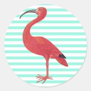 Flamingo & Teal Streifen - Fine Art Sticker