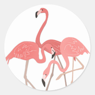 Flamingo-Trio Runder Aufkleber