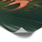 Flamingo Tropicales Spiegelbild Poster (Ecke)