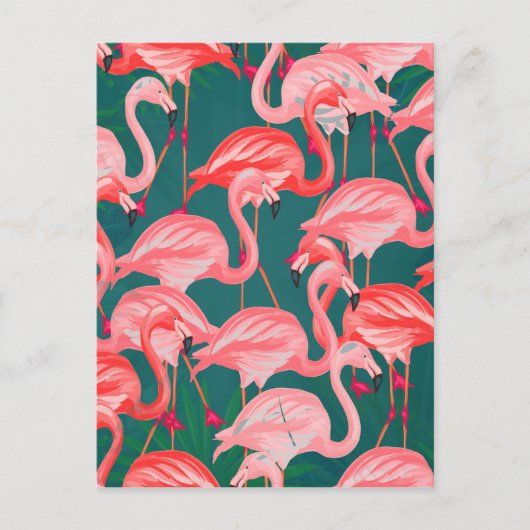 Flamingo tropischer Sommer Postkarte (Vorderseite)