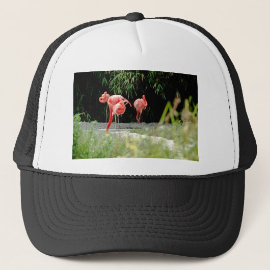 Flamingo Truckerkappe (Vorderseite)