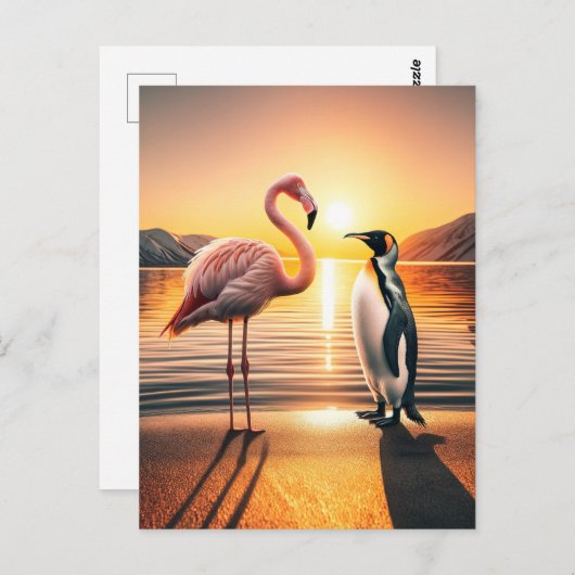 Flamingo und Penguin Sunset Encounter Postkarte (Vorne/Hinten)