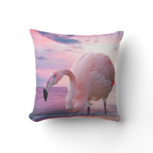 Flamingo und rosa Himmel