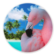 Flamingo und Strand