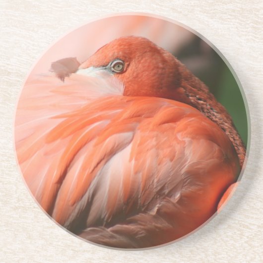 Flamingo Untersetzer (Vorne)