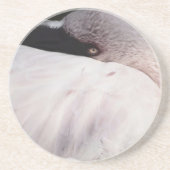 Flamingo Untersetzer (Vorne)