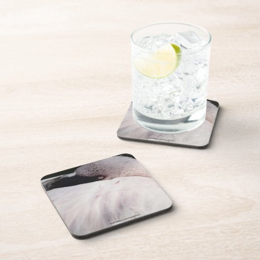 Flamingo Untersetzer (Rechte Seite)