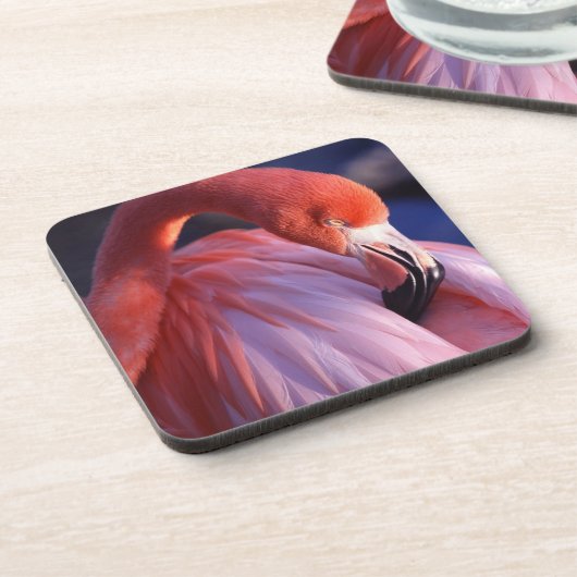 Flamingo Untersetzer Set (Linke Seite)