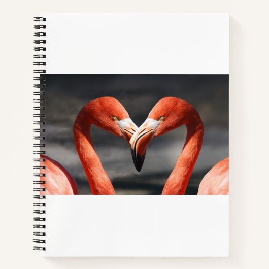 Flamingo Valentinstag Notizblock (Vorderseite)