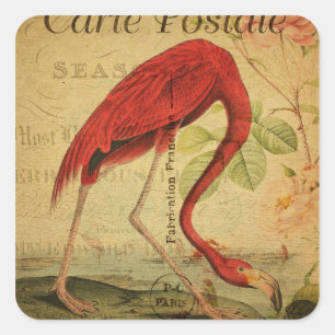 Flamingo-Vintage-Postkarten-Malerei Quadratischer Aufkleber