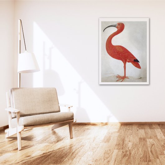 Flamingo - Vintages Kunstposter Poster