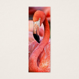 Flamingo-Visitenkarte oder Lesezeichen