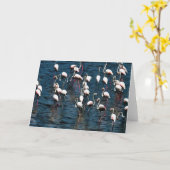 Flamingo Vögel in Rosa und Weiß auf Inkwell Blue Karte (Gelbe Blume)