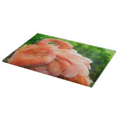 Flamingo-Vogel-Kunst-Glas-Schneidbrett Schneidebrett (Ecke)