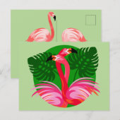Flamingo-Vögel Postkarte (Vorne/Hinten)